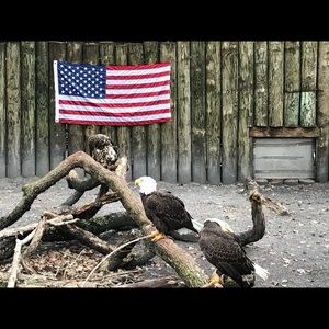 Meet your Posher, Patricia